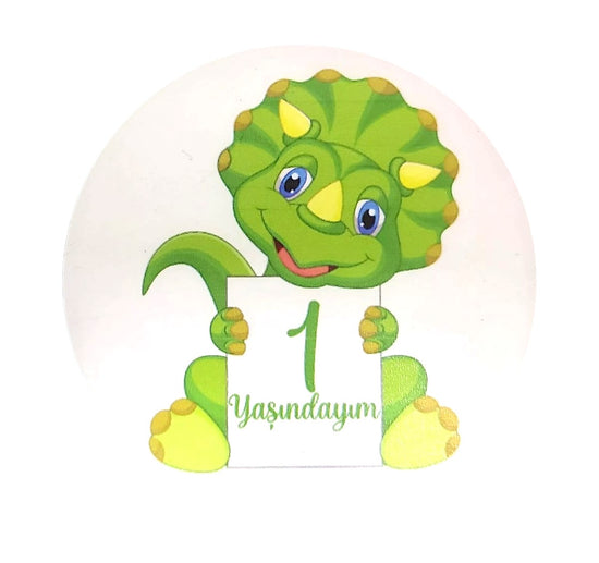 Bebek Fotoğraf Kartları Ahşap Aylık Anı Kartı Yeni Doğan Anı Kartı Seti Montessori